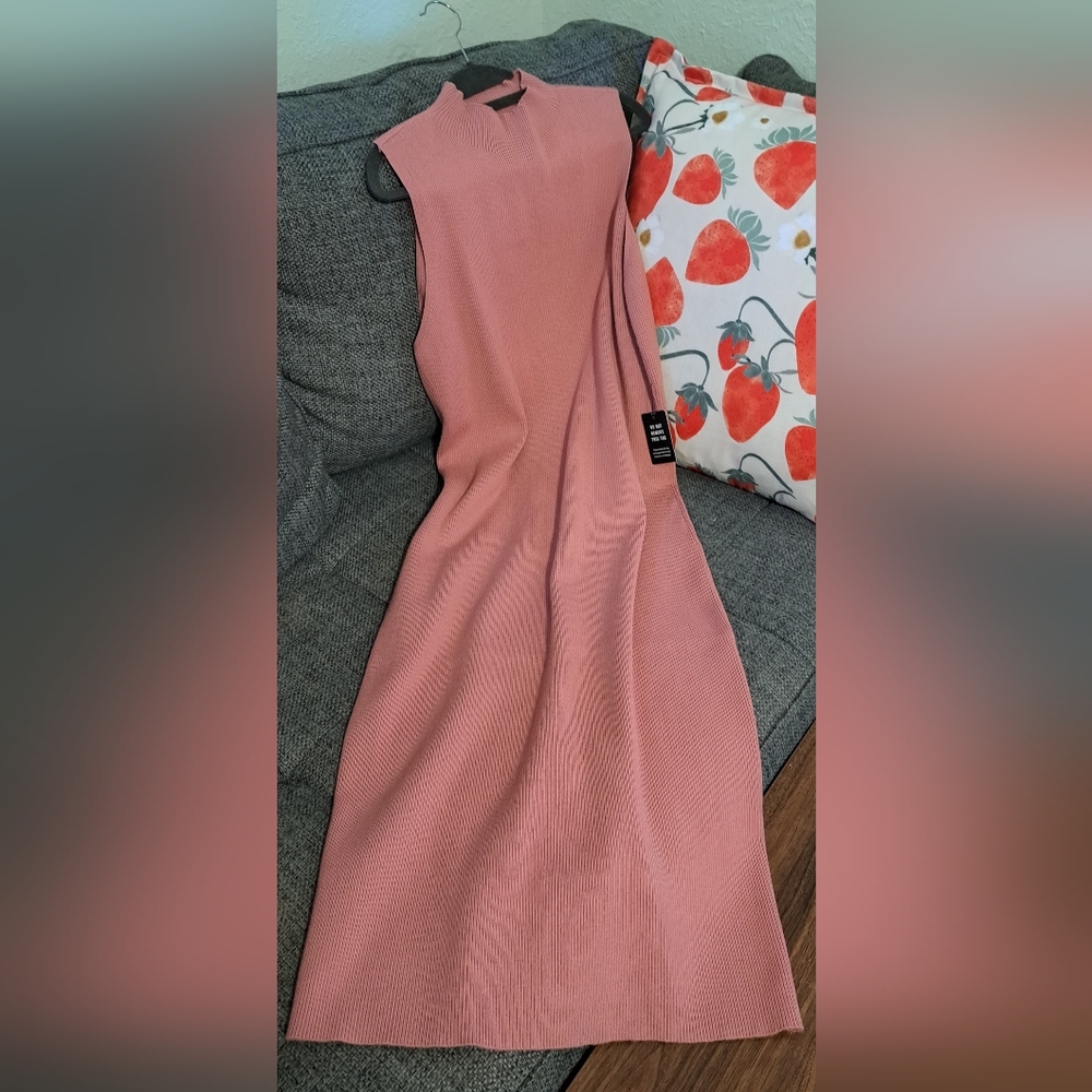 Express Pink Maxi Dress